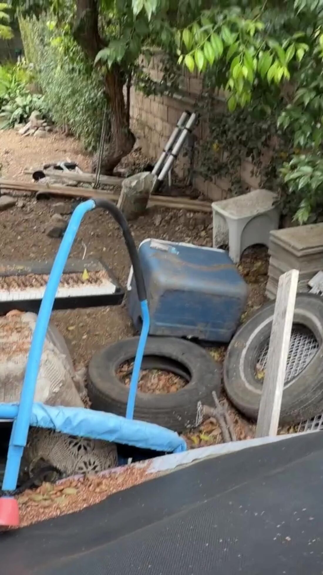 Overgrown Glendora backyard full of junk before JunkFit Hauling yard cleanout