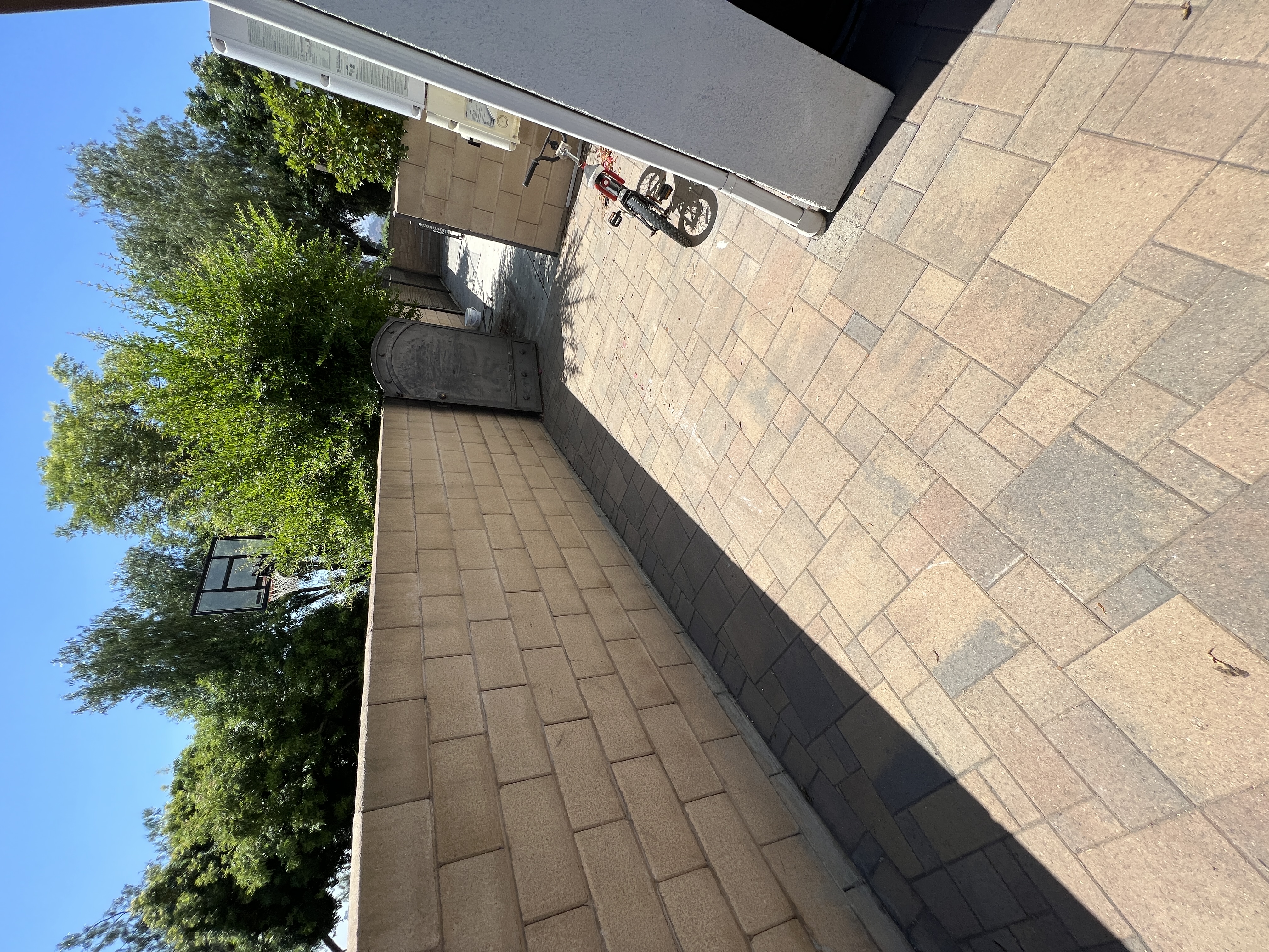 After: clean side yard