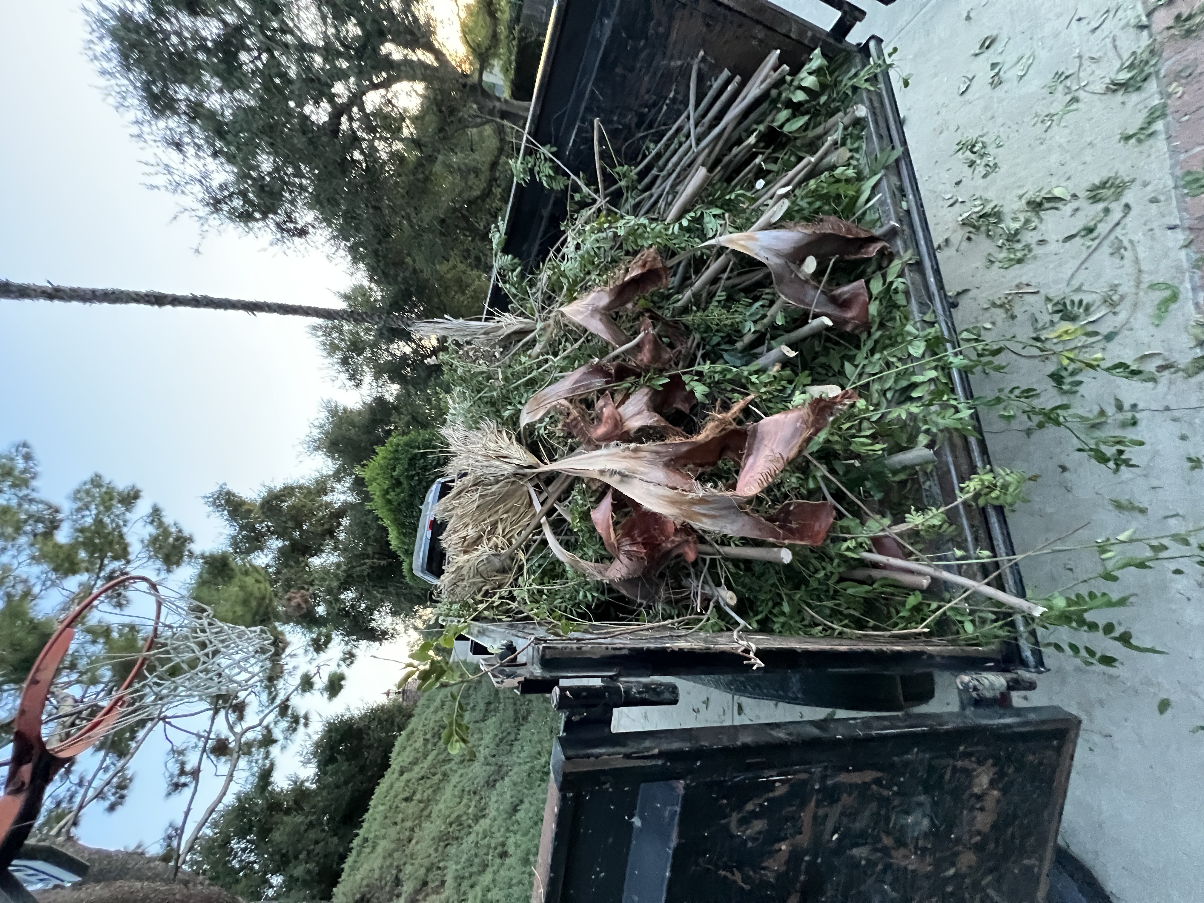 After: trailer loaded with yard waste